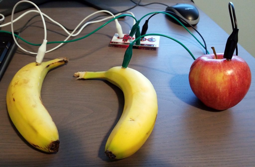 First Projects with the Makey Makey The Fruit Keyboard. Circuits and